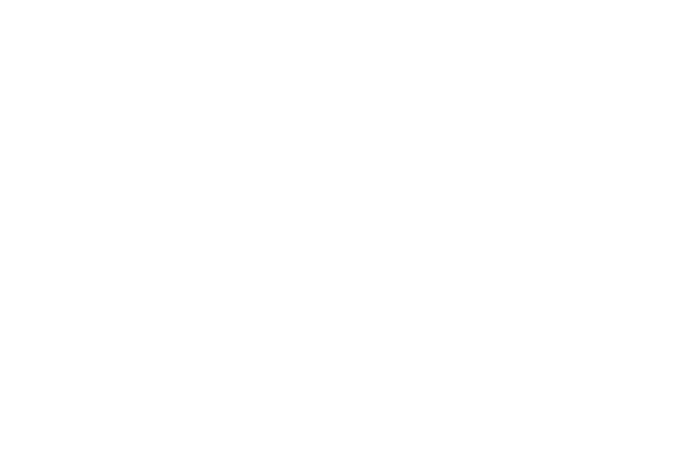 Aspiration. It is the driving force and impetus